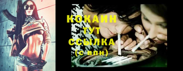 молекула духа Елизово