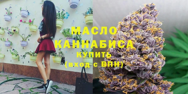 молекула духа Елизово