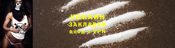 молекула духа Елизово