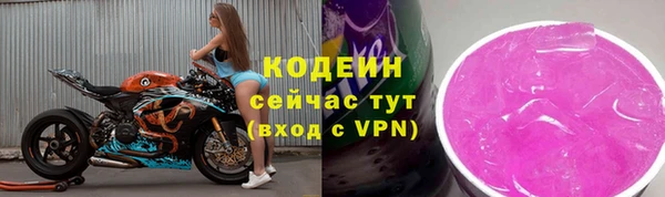 PSILOCYBIN Ельня