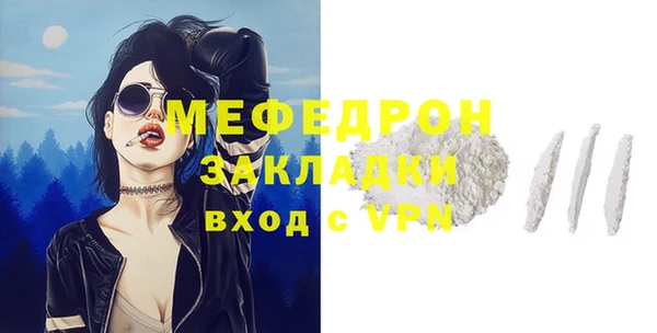 PSILOCYBIN Ельня
