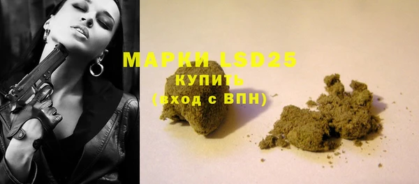 молекула духа Елизово