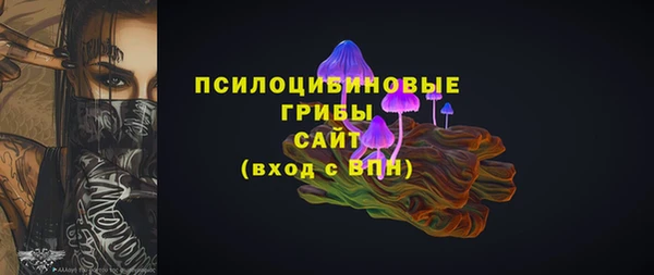 PSILOCYBIN Ельня