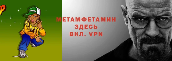 PSILOCYBIN Ельня