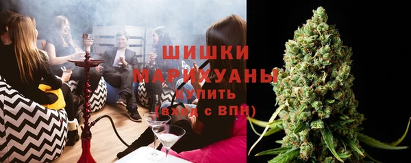 PSILOCYBIN Ельня