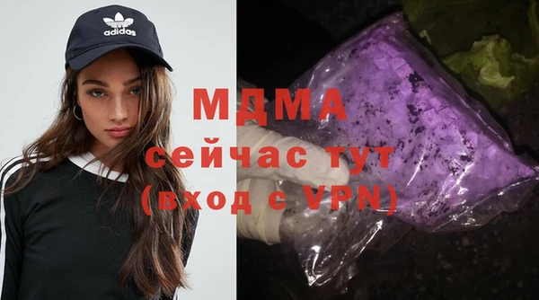 PSILOCYBIN Ельня