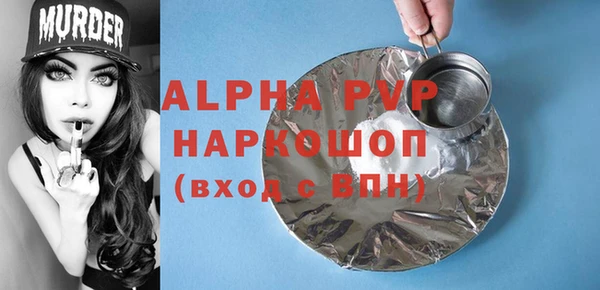 молекула духа Елизово