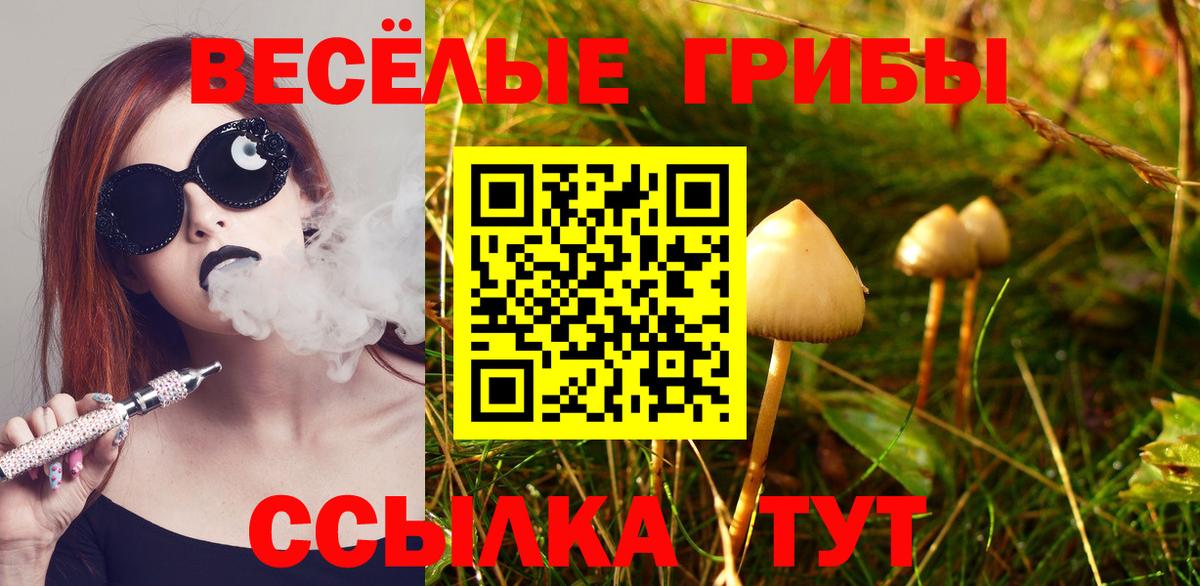 Галлюциногенные грибы Psilocybine cubensis  Вход с VPN  Среднеуральск  Псилоцибиновые грибы Psilocybe 